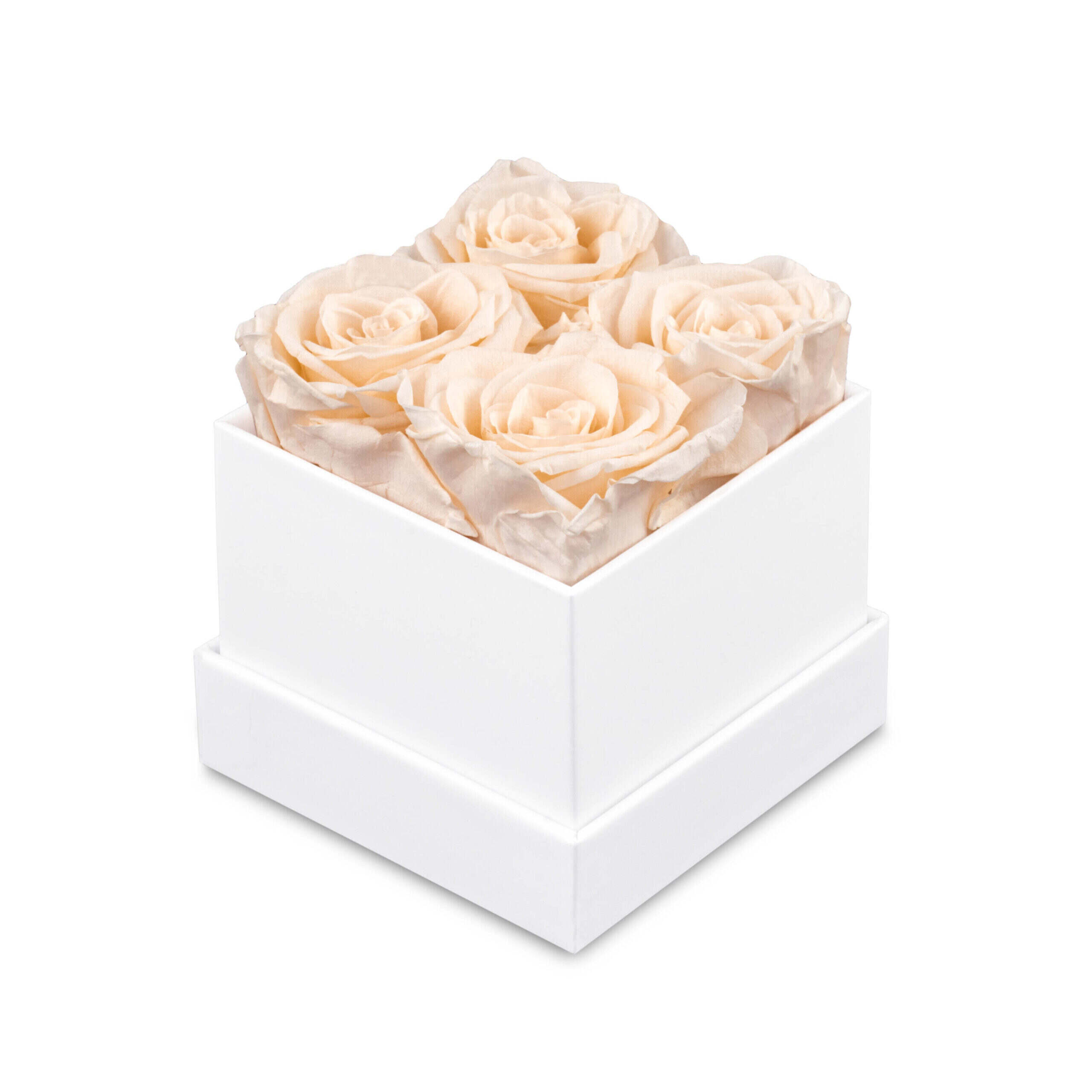 Rosbox Frykant Small- 4 Rosor - Bild 2