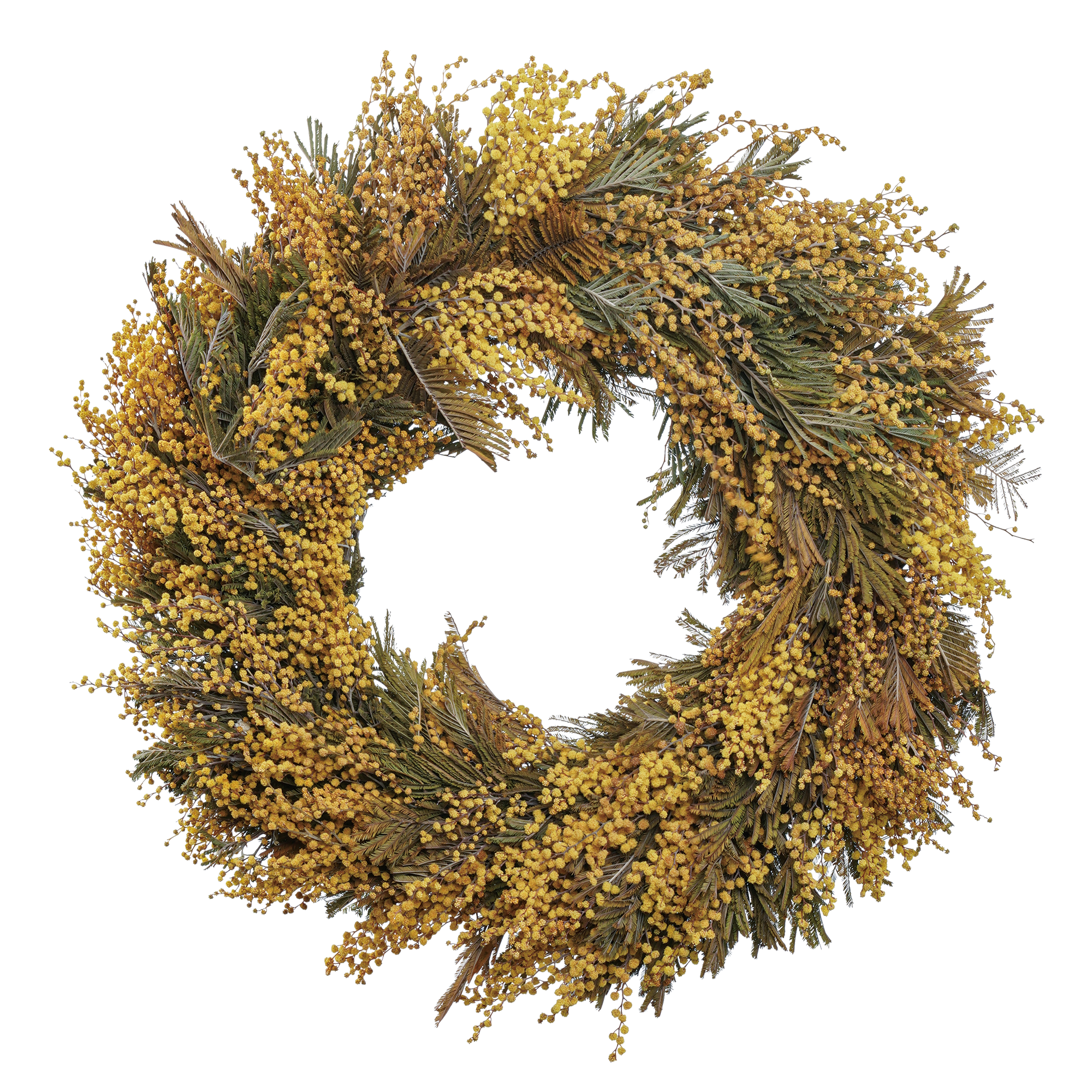 Mimosakrans (40 cm/ 55 cm)