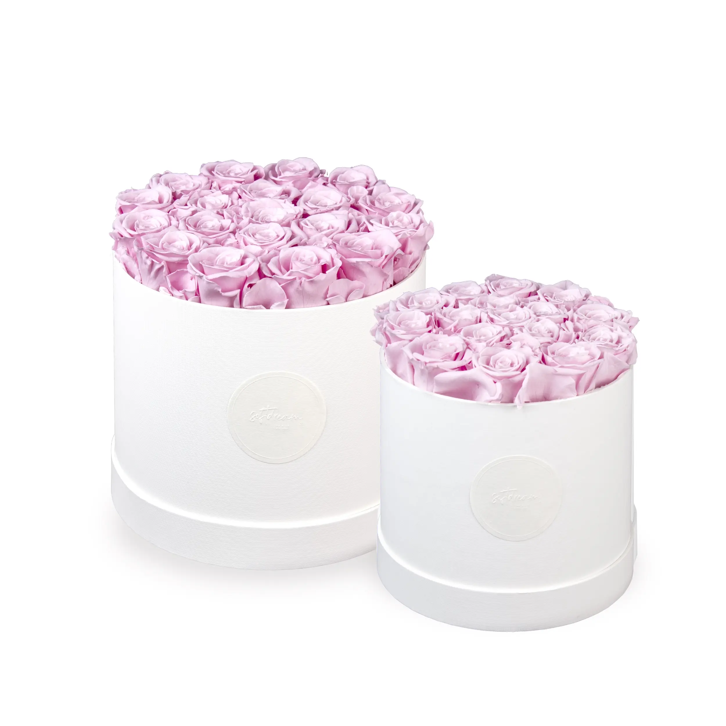 Roslåda – Misty Rose