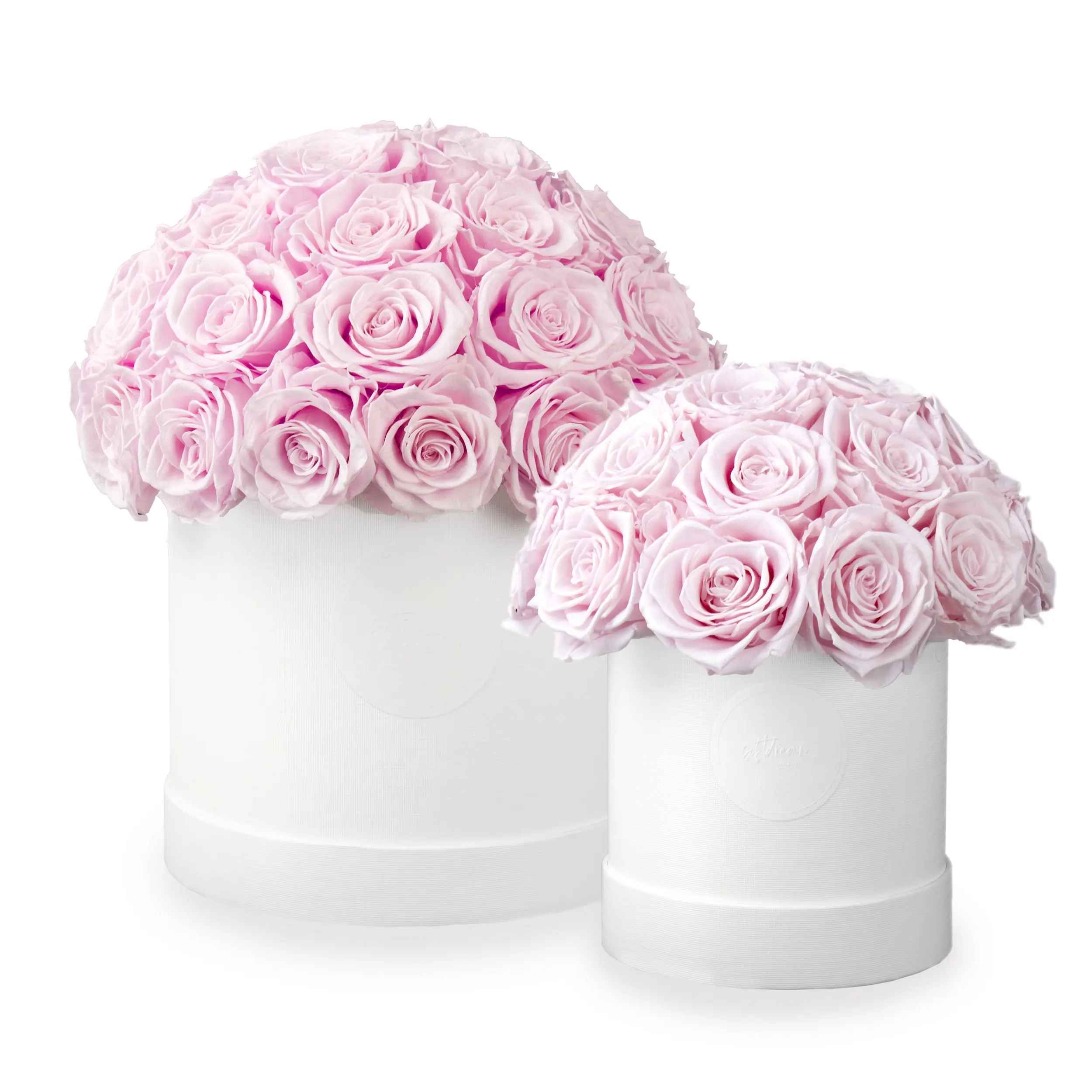 Ros Bucket - Pastel Rosa