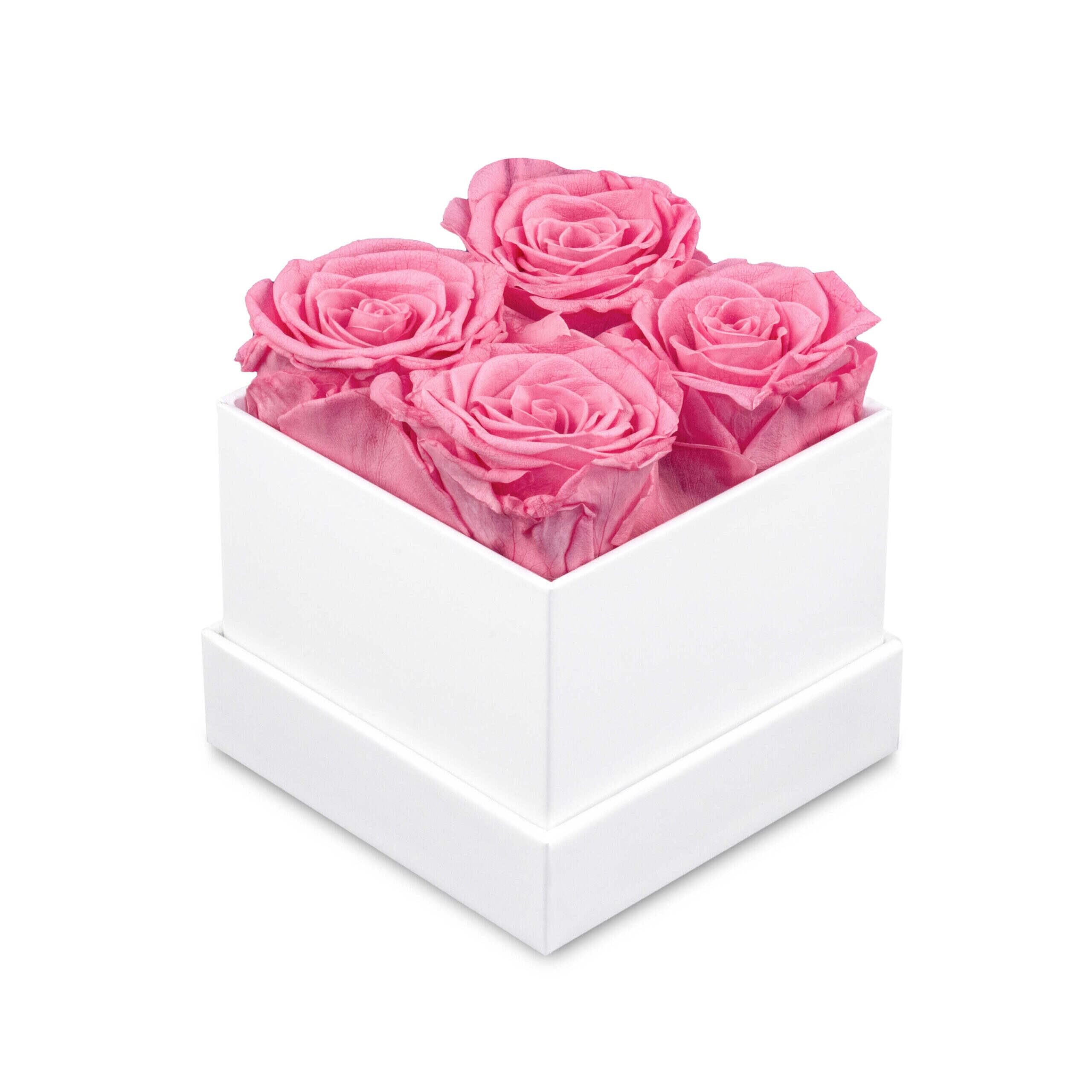 Rosbox Frykant Small- 4 Rosor