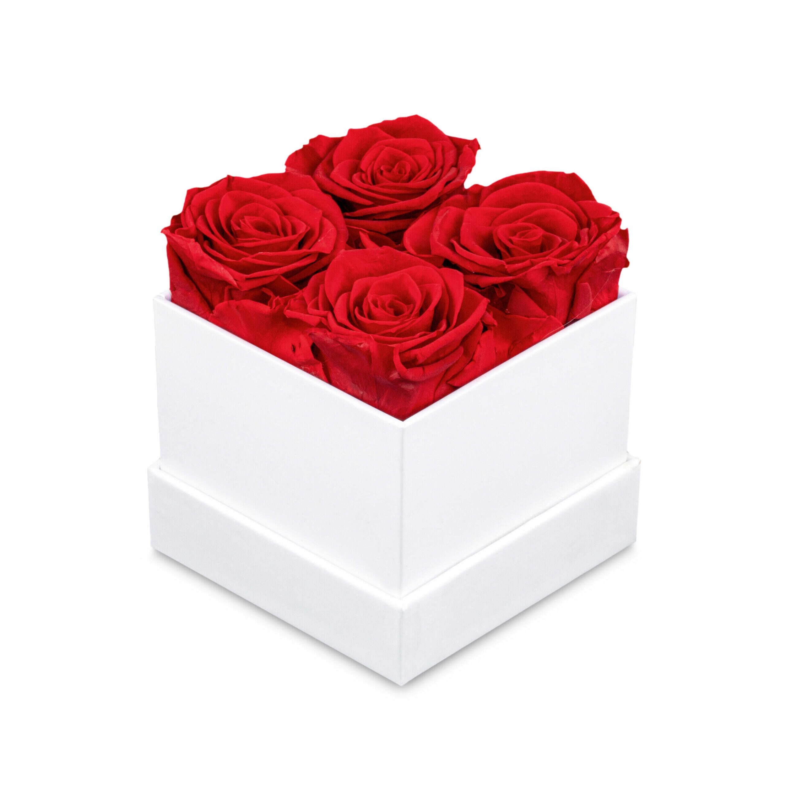 Rosbox Frykant Small- 4 Rosor - Bild 3