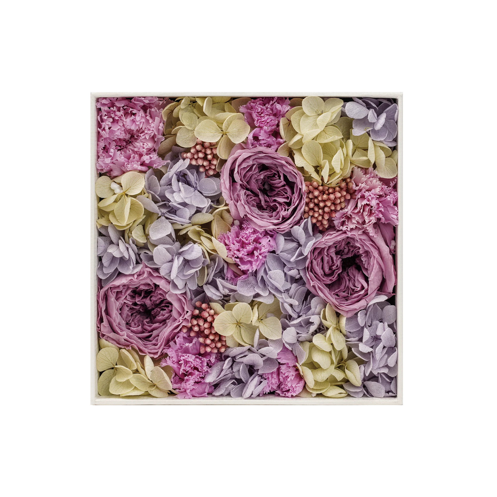 Blomsterlåda - Africa Violet