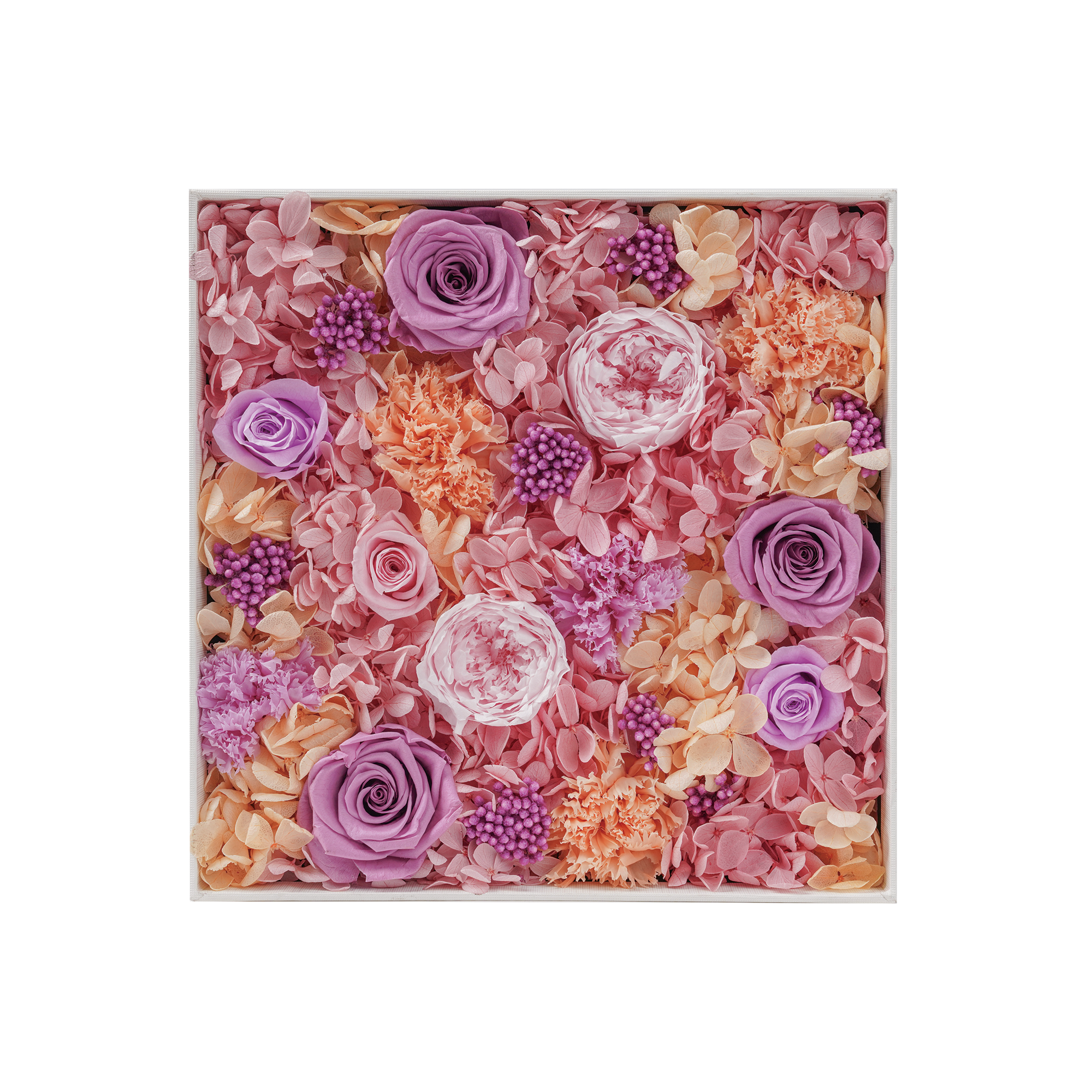 Blomsterlåda- Pink lavender