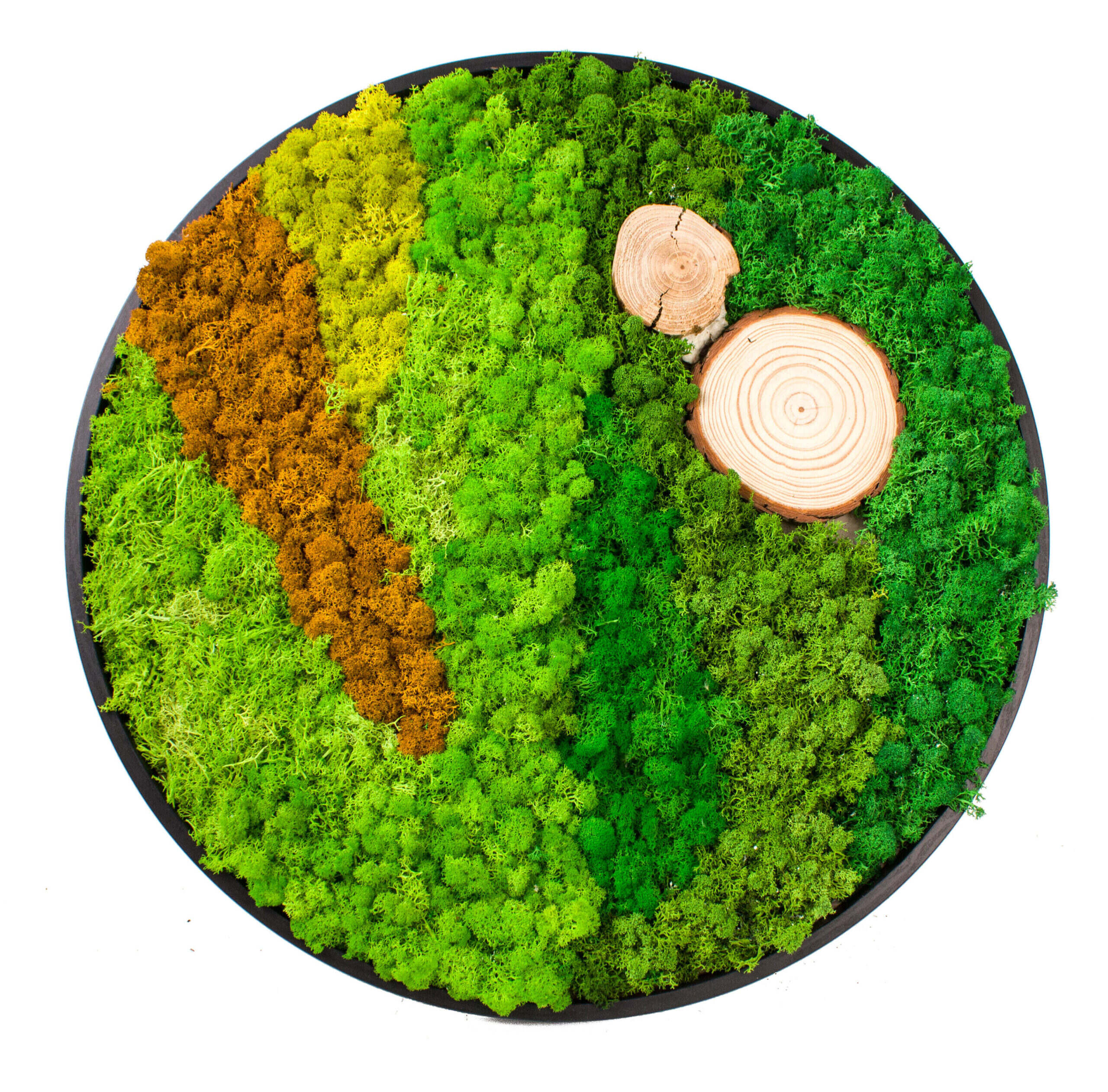 Mosstavla ¨Ljus & Lav¨