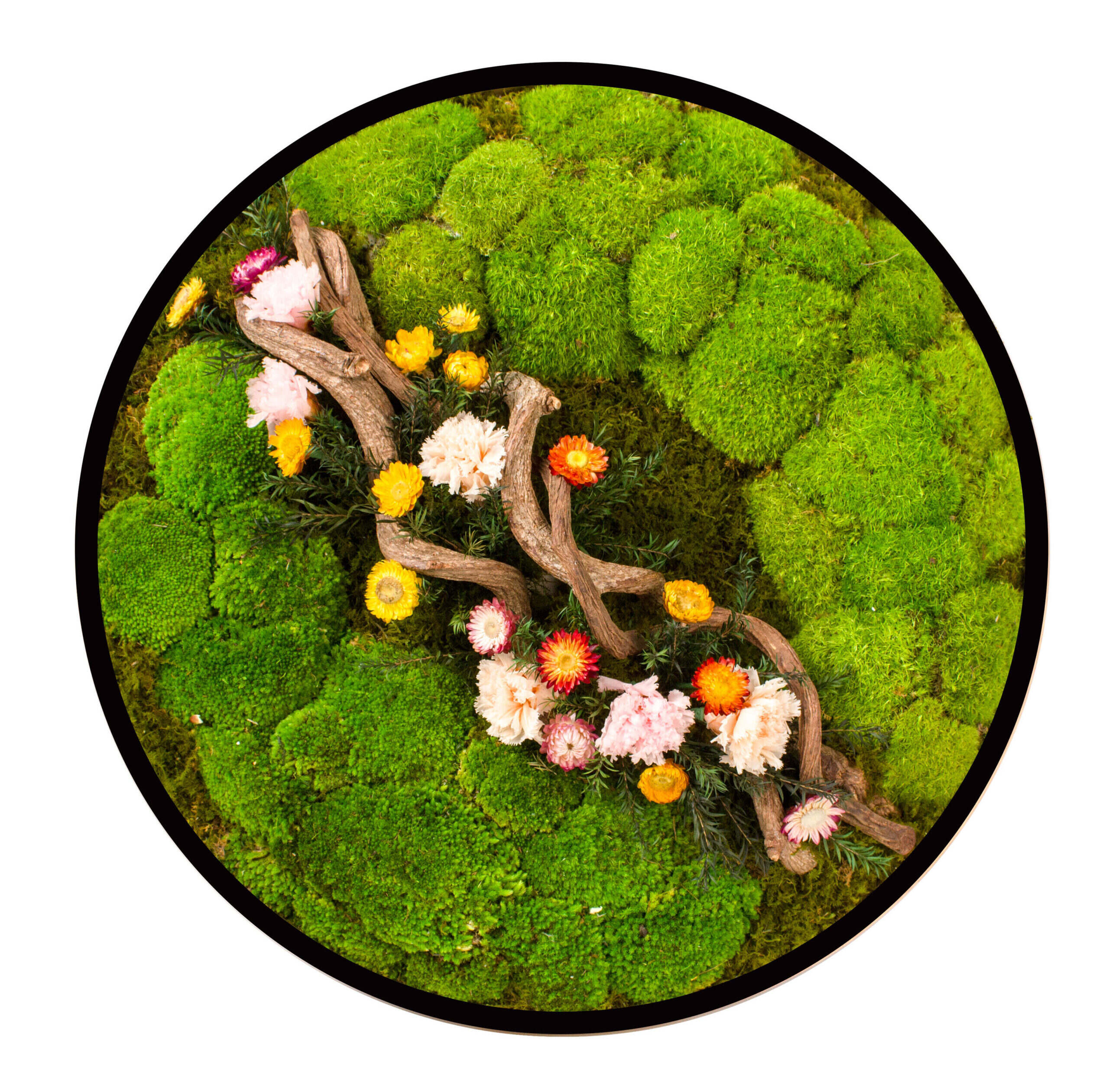 Mosstavla ¨Skogsdans¨