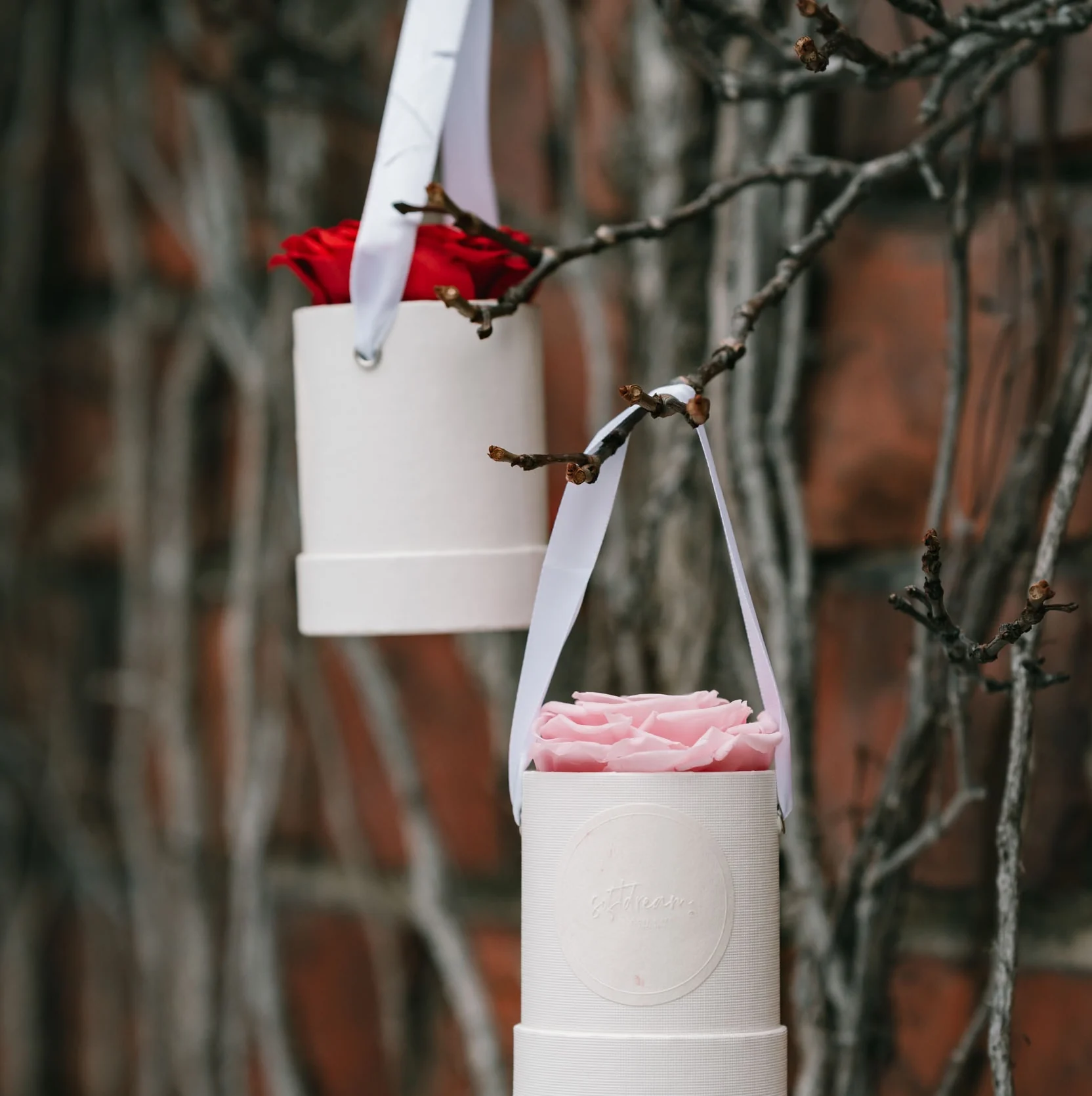 Rosbox enkel - Röd - Bild 3