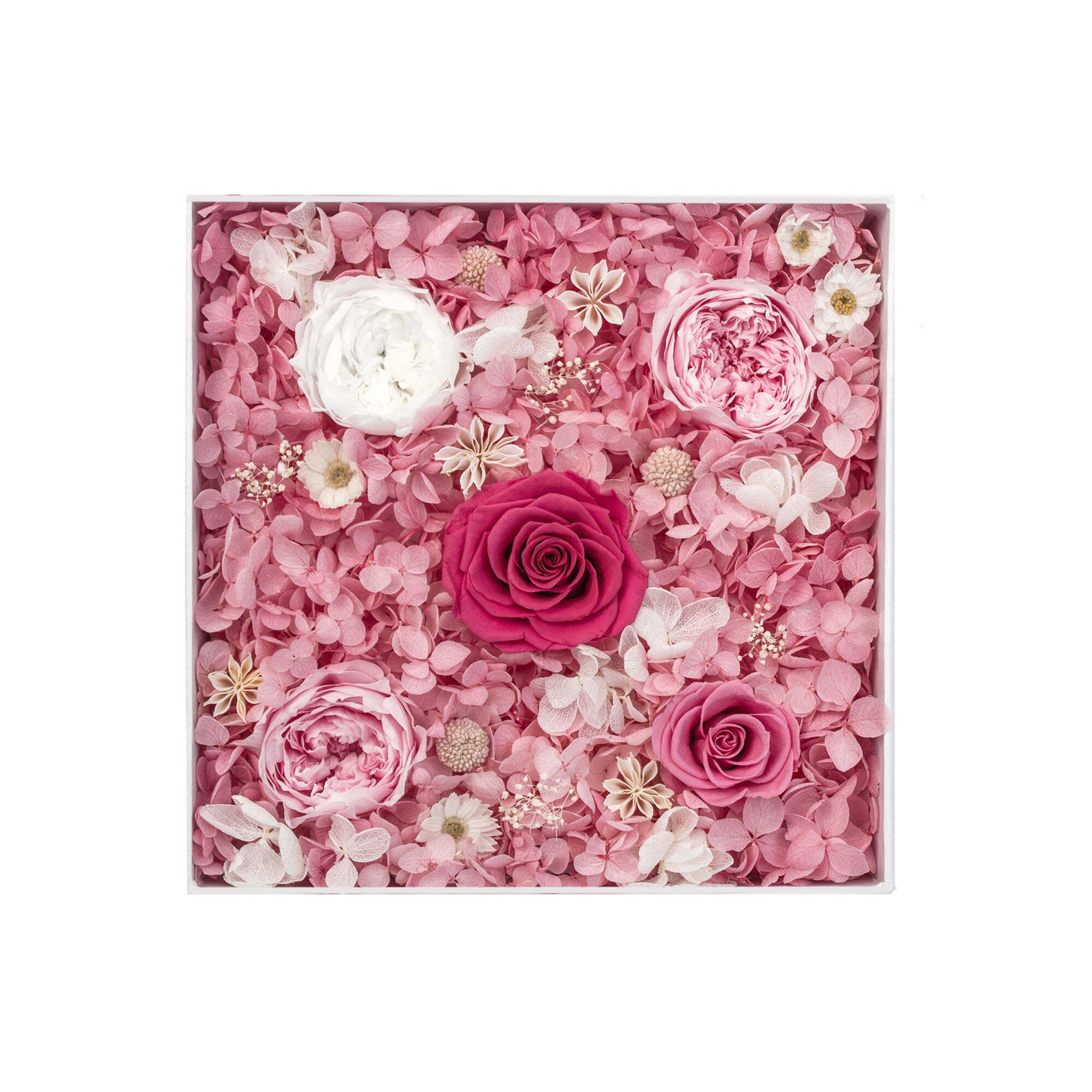 Blomsterlåda- Bake miller pink - Bild 2