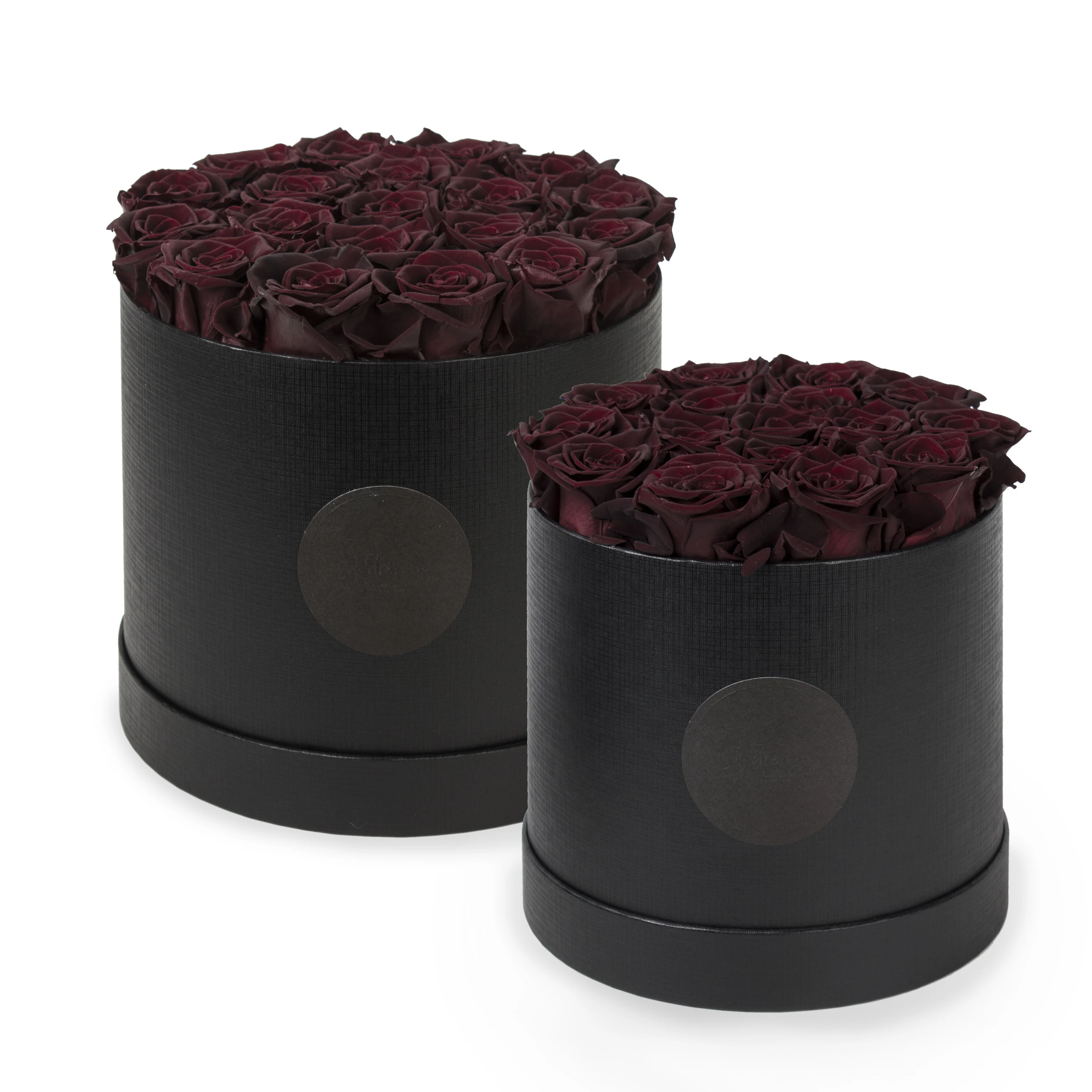 Roslåda - Black currant